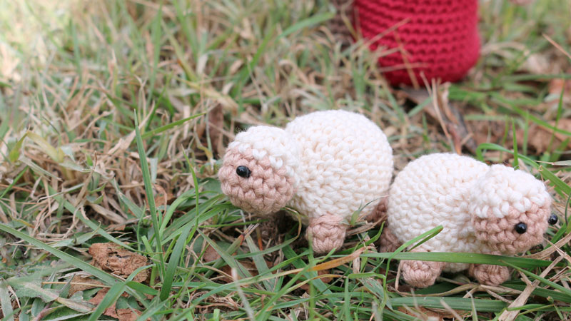 tiny sheep nativity amigurumi crochet free pattern